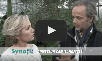 Video ontstaan Synofit