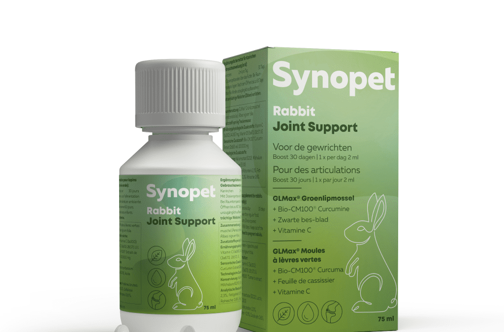 Synopet Rabbit Joint Support