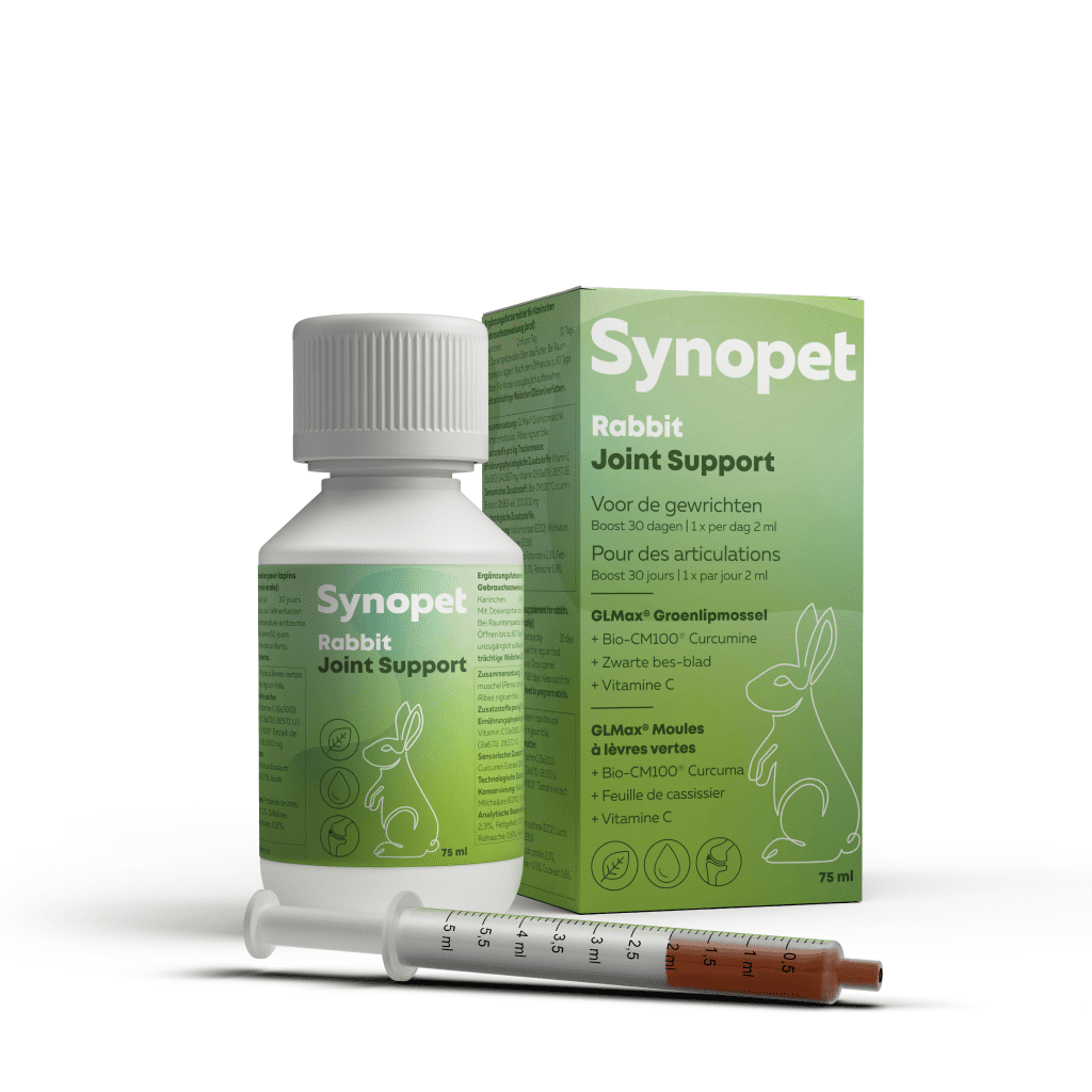 Synopet Rabbit Joint Support