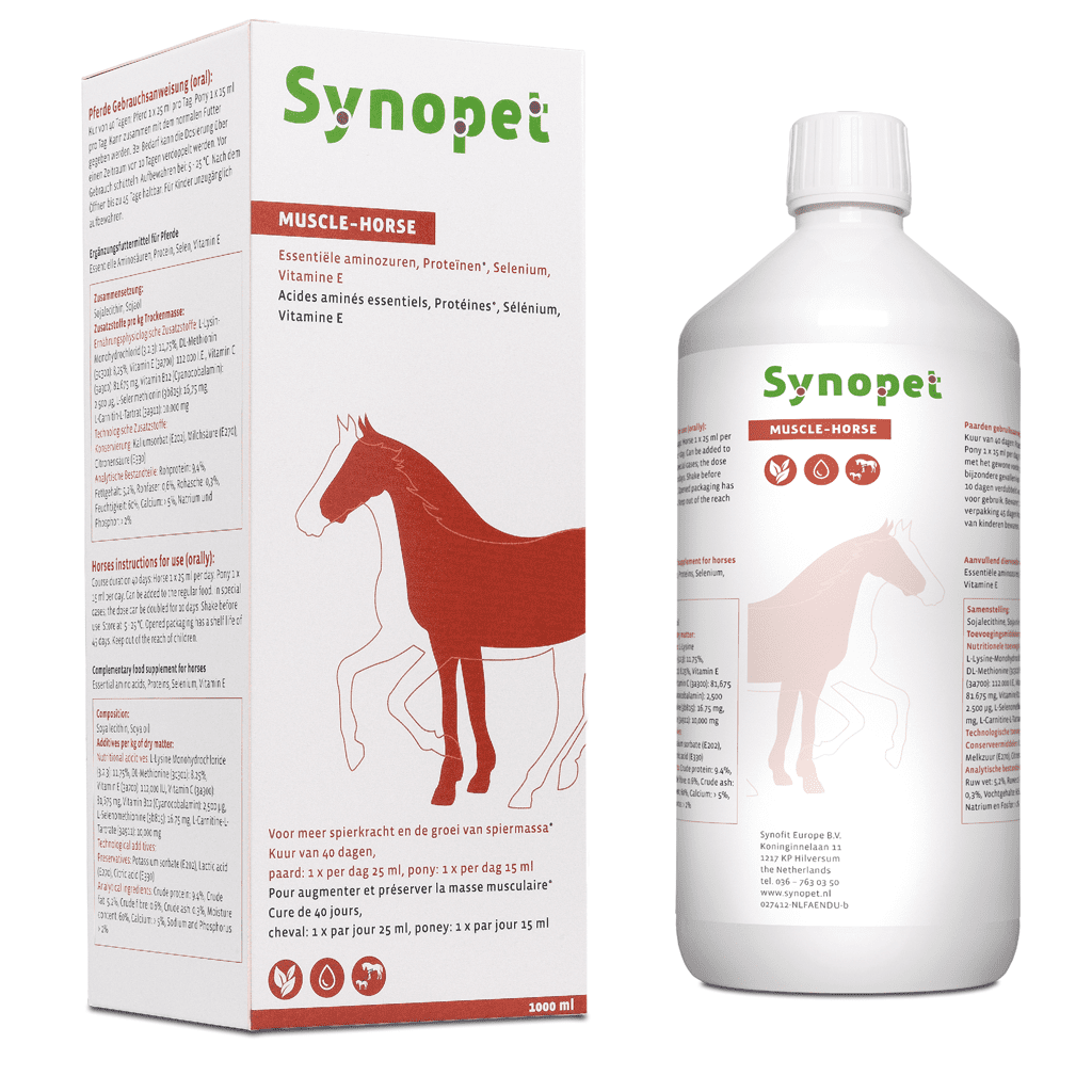 Synopet Muscle-Horse
