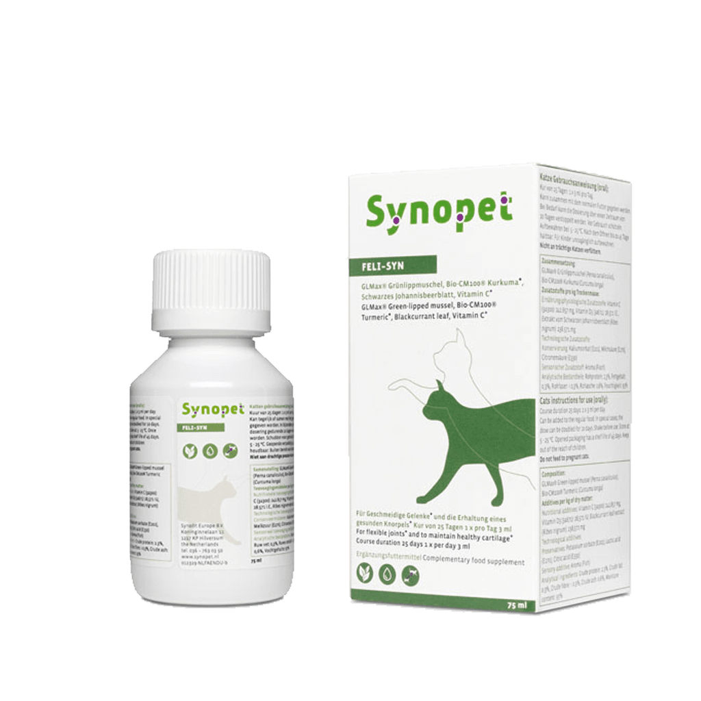 Synopet Feli-Syn