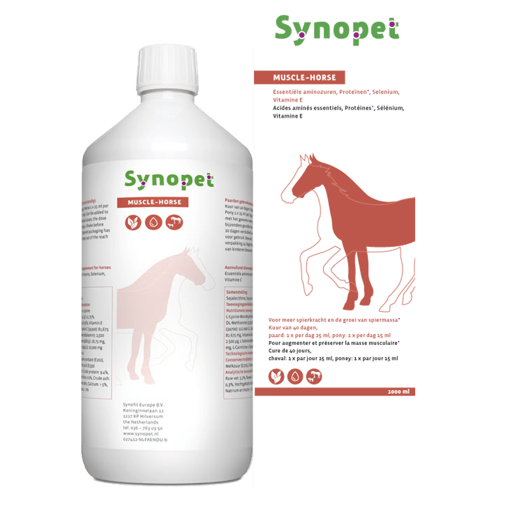 Synopet Muscle-Horse